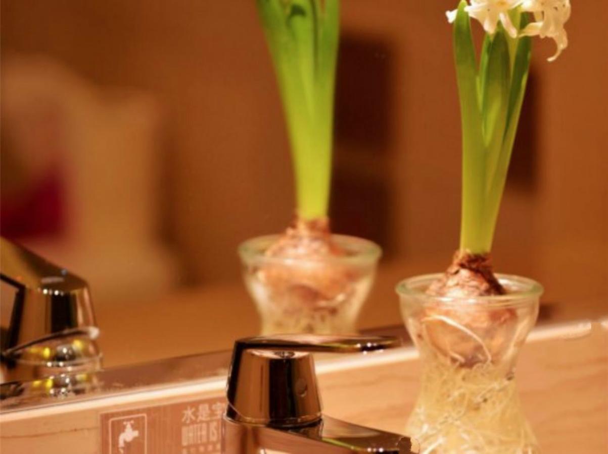 Greentree Inn Beijing Dongcheng District Wangfujin South Luogu Lane Houhai Express Hotel Exteriér fotografie